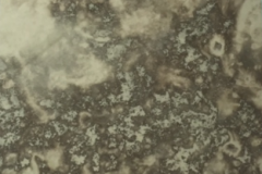 Silver distressed Antique Mirror Glass antique mirror interior design decourative mirror in ireland buy online supply and install in ireland silver antique mirror